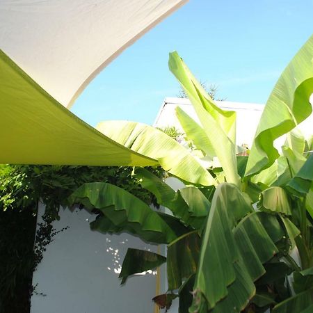 Chambres D'Hotes La Tribu Quévreville-la-Poterie Eksteriør bilde